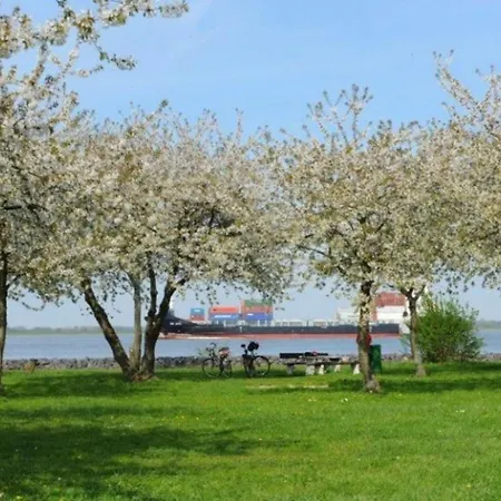 Bluetenzauber No 7 *