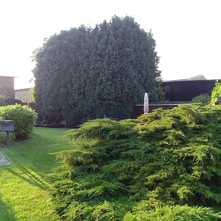 Bluetenzauber No 7 Mittelnkirchen