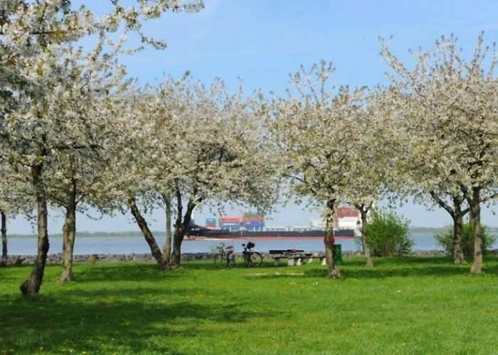 Bluetenzauber No 7 *