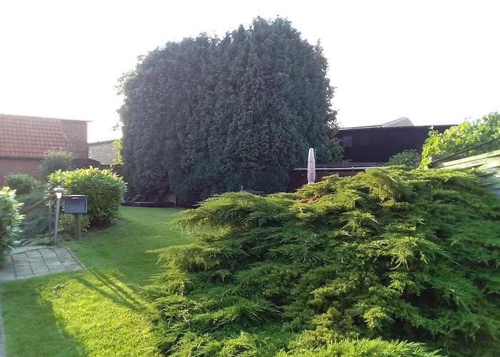 Bluetenzauber No 7 Mittelnkirchen